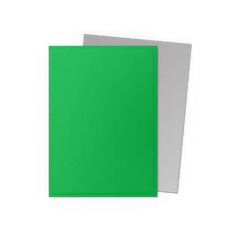 Dragon Shield - Dual Matte - Apple Green & Silver(100pcs)