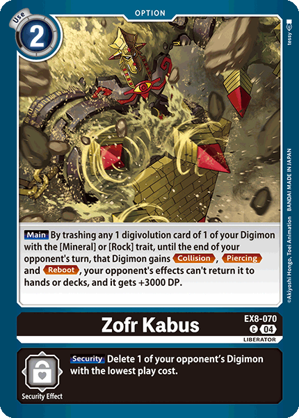 EX08-070, C, Zofr Kabus
