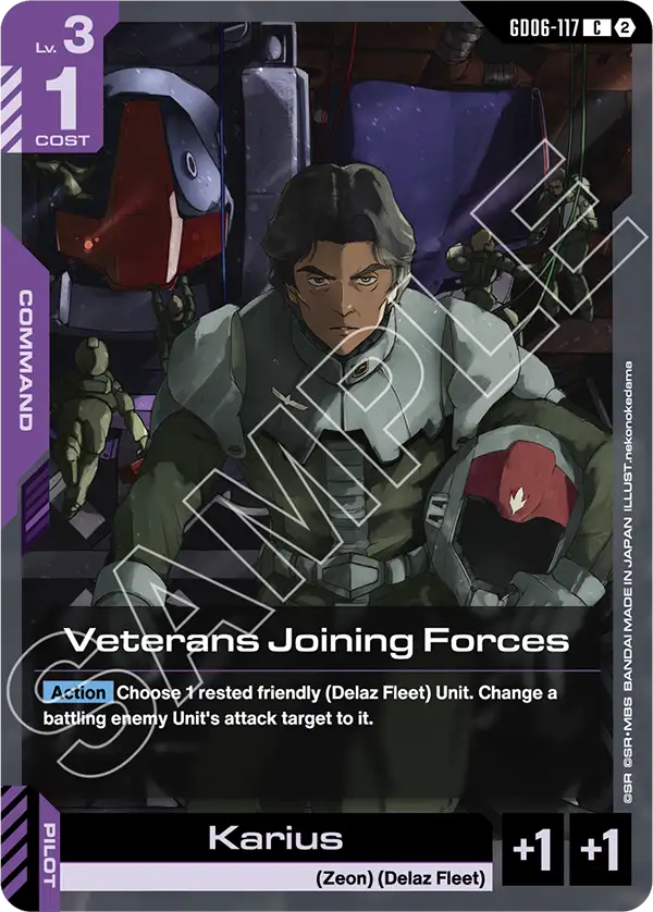 GD06-117, C, Veterans Joining Forces