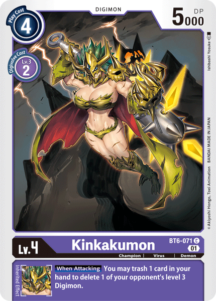 BT06-071 C, Kinkakumon