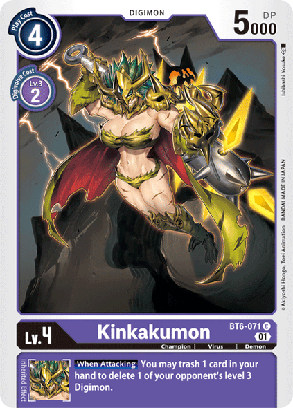 BT06-071 C, Kinkakumon