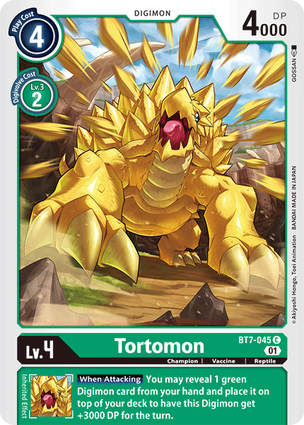 BT07-045 C, Tortomon